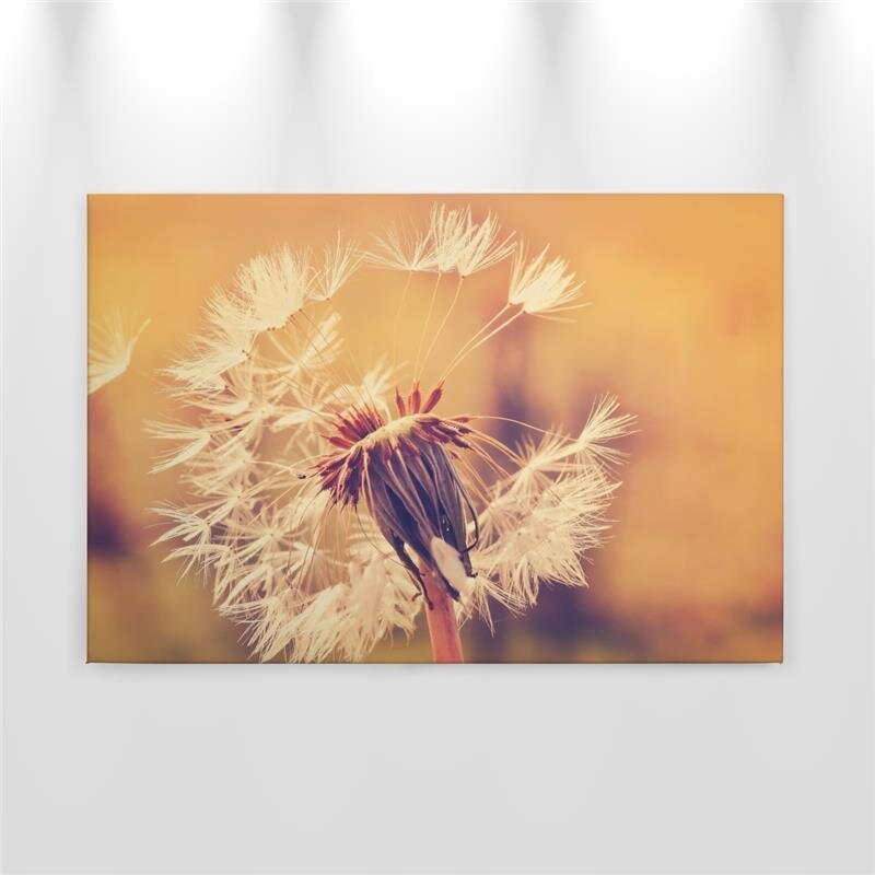 A.S. Création Leinwandbild Dandelion1