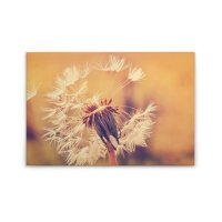 A.S. Création Leinwandbild Dandelion1