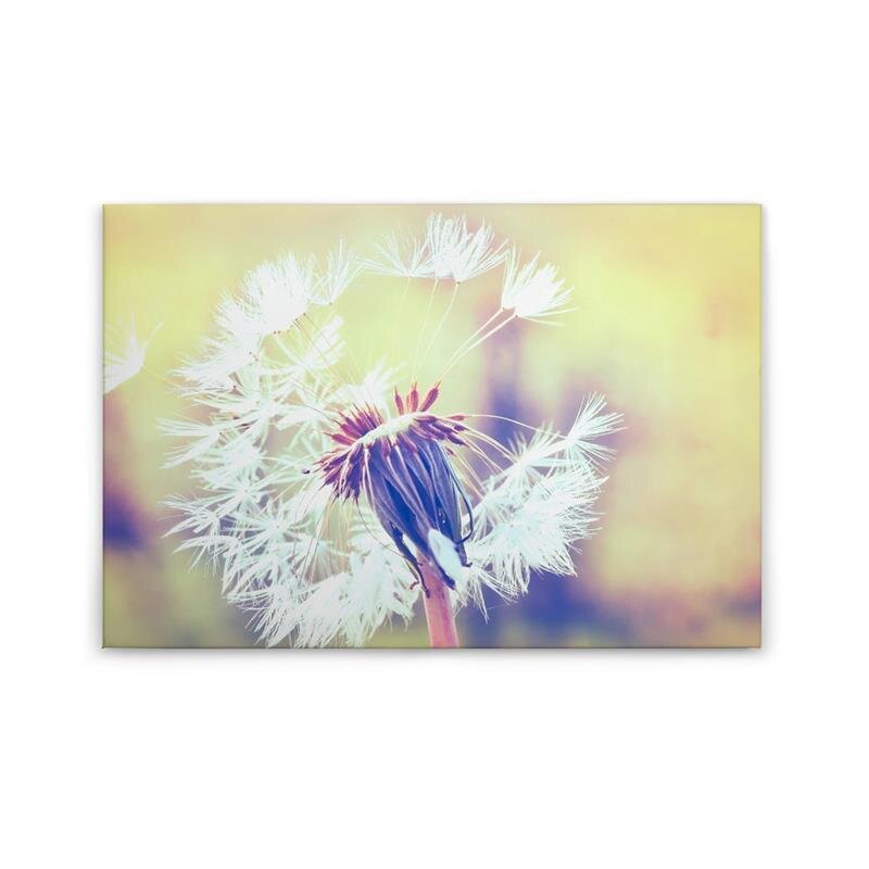 A.S. Création Leinwandbild Dandelion2