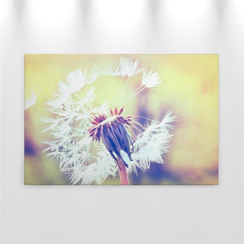 A.S. Création Leinwandbild Dandelion2