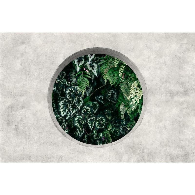 A.S. Création Leinwandbild deepgreen1