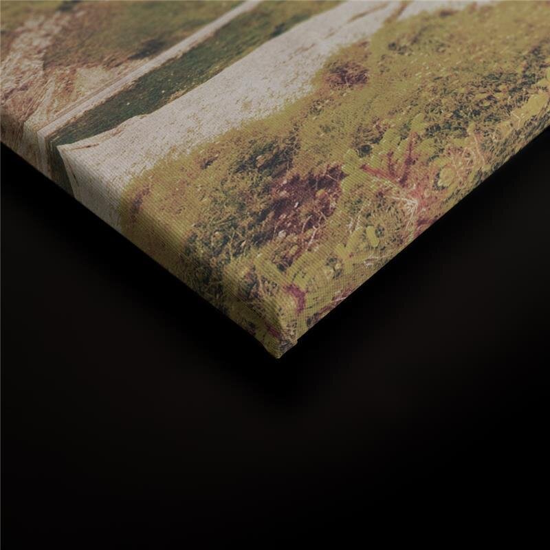 A.S. Création Leinwandbild dolomiti2