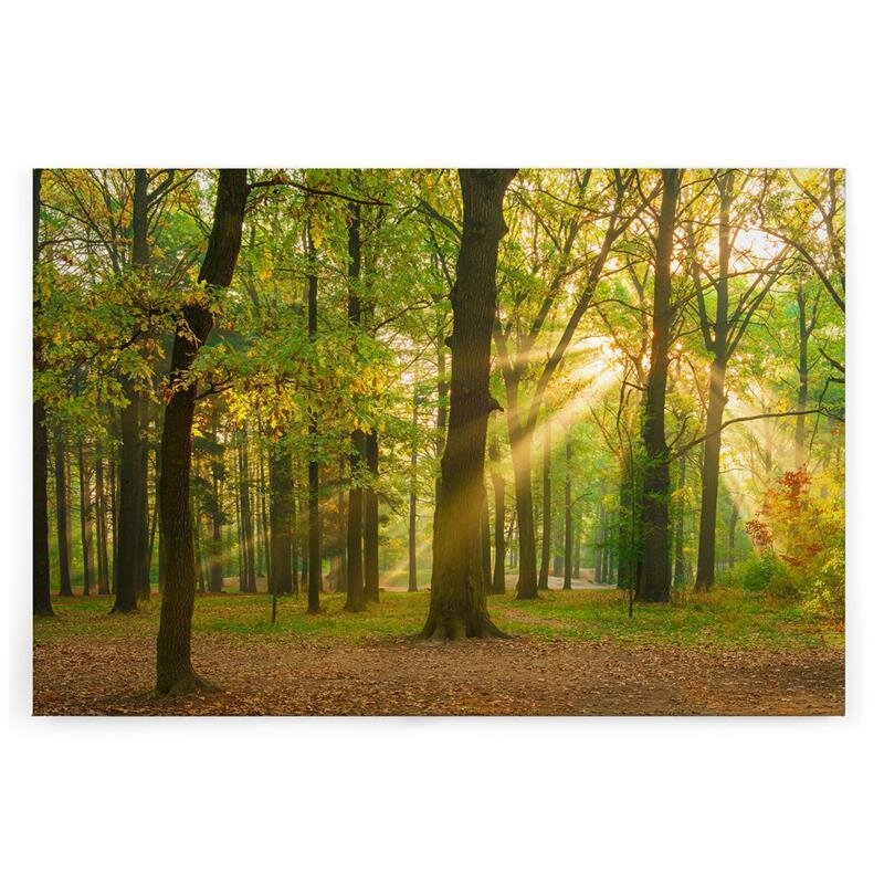 A.S. Création Leinwandbild Eichenwald