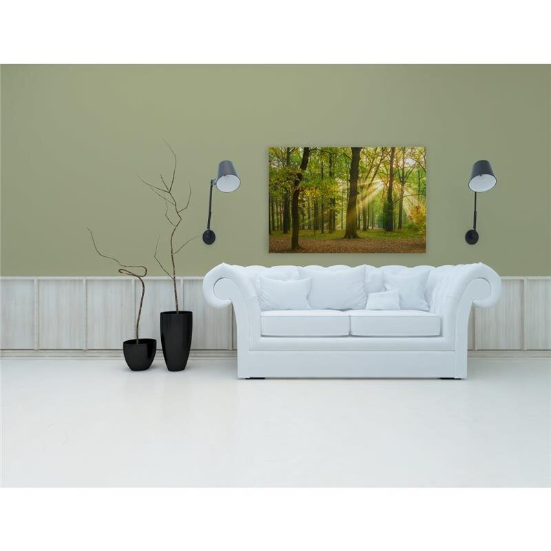 A.S. Création Leinwandbild Eichenwald