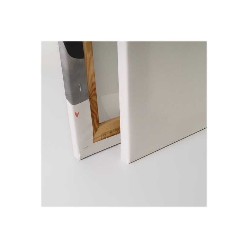 A.S. Création Leinwandbild Elephant Lion Giraffe 1