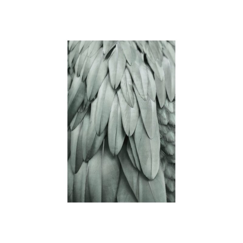 A.S. Création Leinwandbild Feathers 2