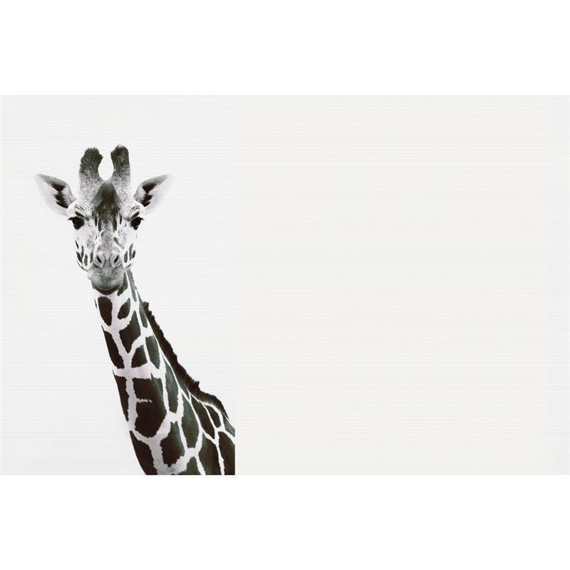 A.S. Création Leinwandbild GiraffePotrait