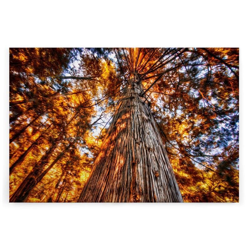 A.S. Création Leinwandbild GlühenderBaum