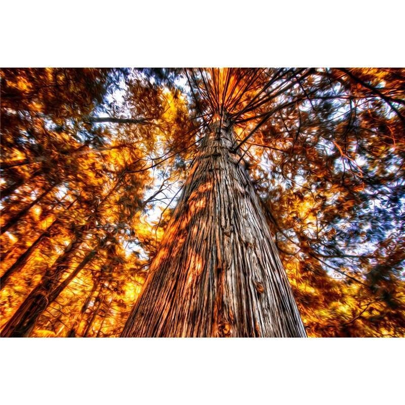 A.S. Création Leinwandbild GlühenderBaum