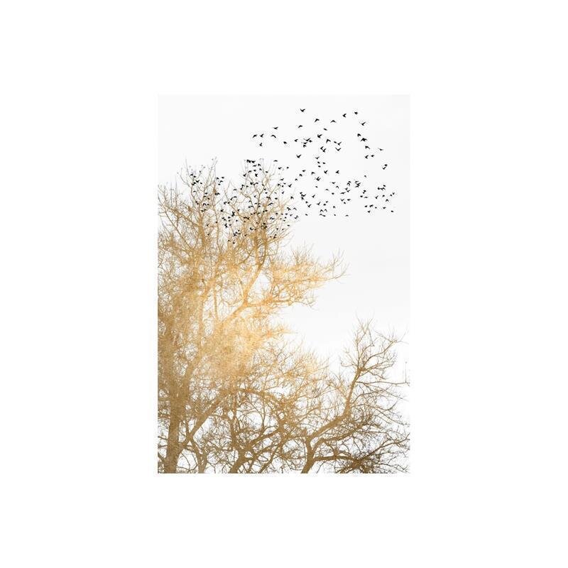 A.S. Création Leinwandbild Golden Skies