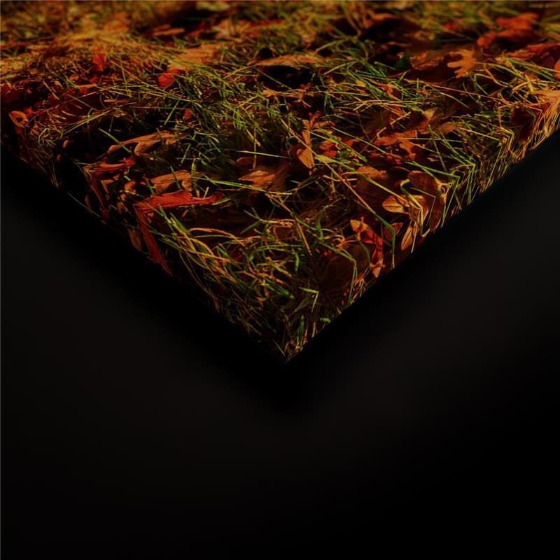 A.S. Création Leinwandbild Herbstmorgen