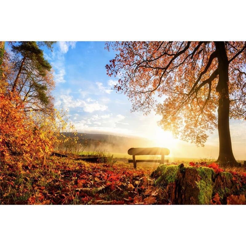 A.S. Création Leinwandbild Herbstmorgen