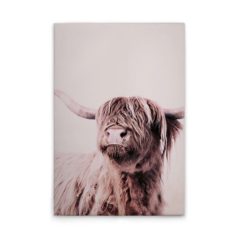 A.S. Création Leinwandbild Highland Cattle 1