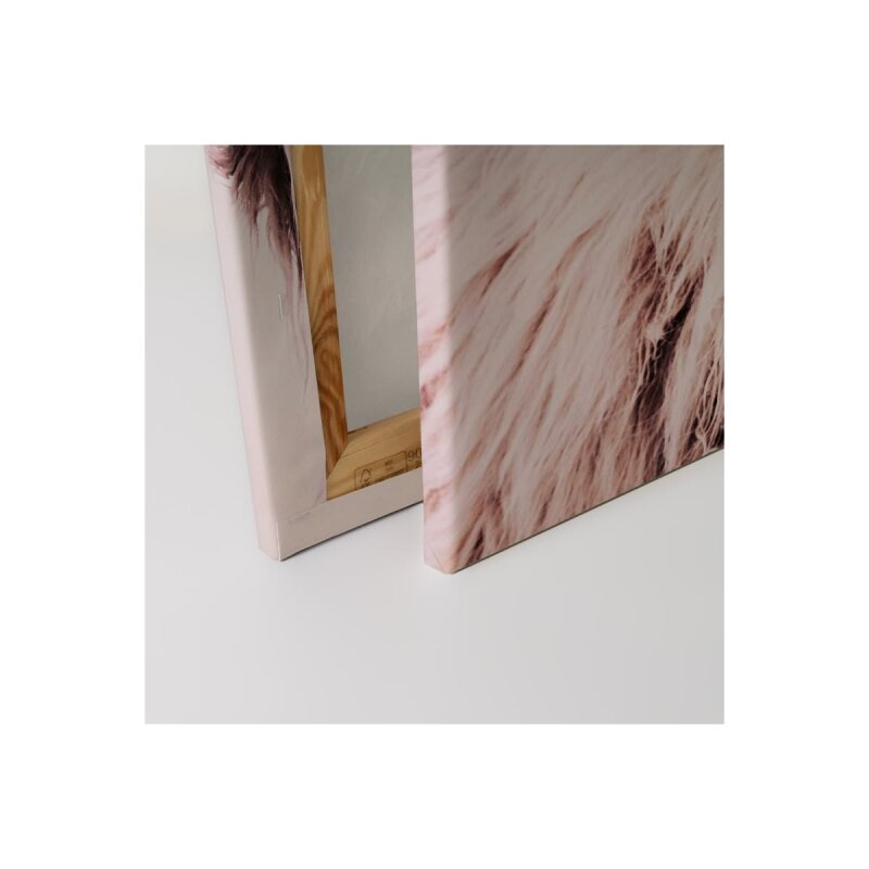 A.S. Création Leinwandbild Highland Cattle 1