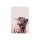 A.S. Création Leinwandbild Highland Cattle 1
