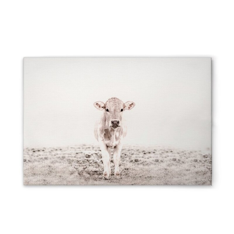 A.S. Création Leinwandbild Highland Cattle 3