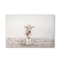 A.S. Cr&eacute;ation Leinwandbild Highland Cattle 3
