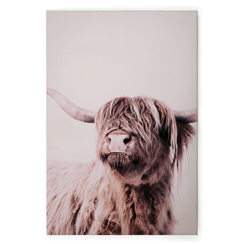A.S. Création Leinwandbild HighlandCattl1