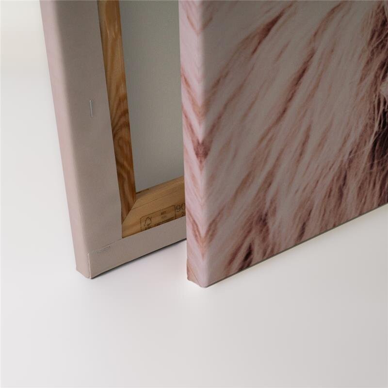 A.S. Création Leinwandbild HighlandCattl1