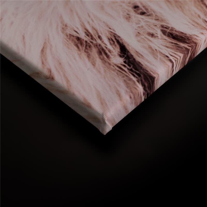 A.S. Création Leinwandbild HighlandCattl1