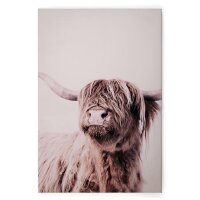 A.S. Cr&eacute;ation Leinwandbild HighlandCattl1