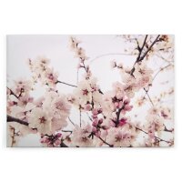 A.S. Cr&eacute;ation Leinwandbild Kirschbl&uuml;te