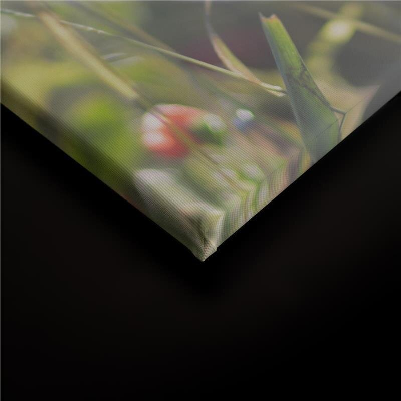 A.S. Création Leinwandbild Mohnblumen