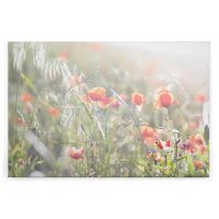 A.S. Cr&eacute;ation Leinwandbild Mohnblumen
