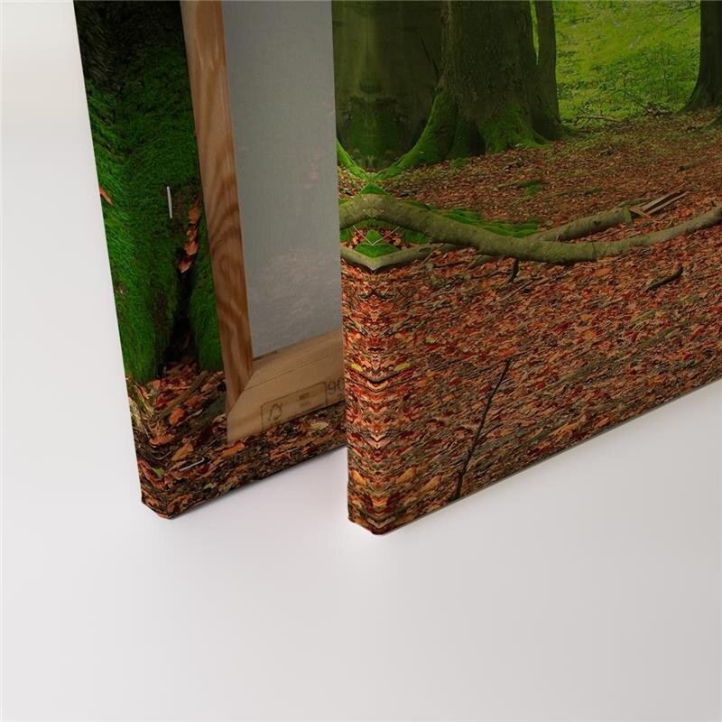 A.S. Création Leinwandbild Moosbäume