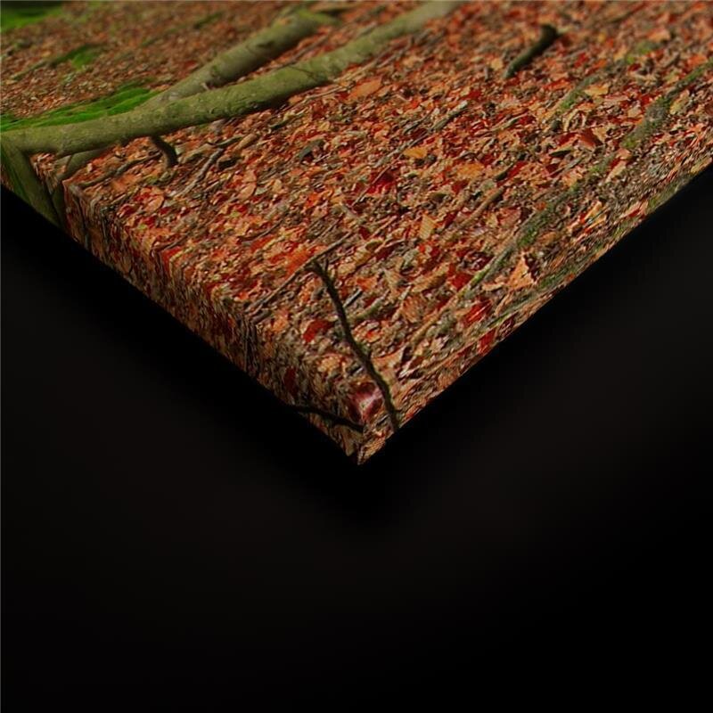 A.S. Création Leinwandbild Moosbäume