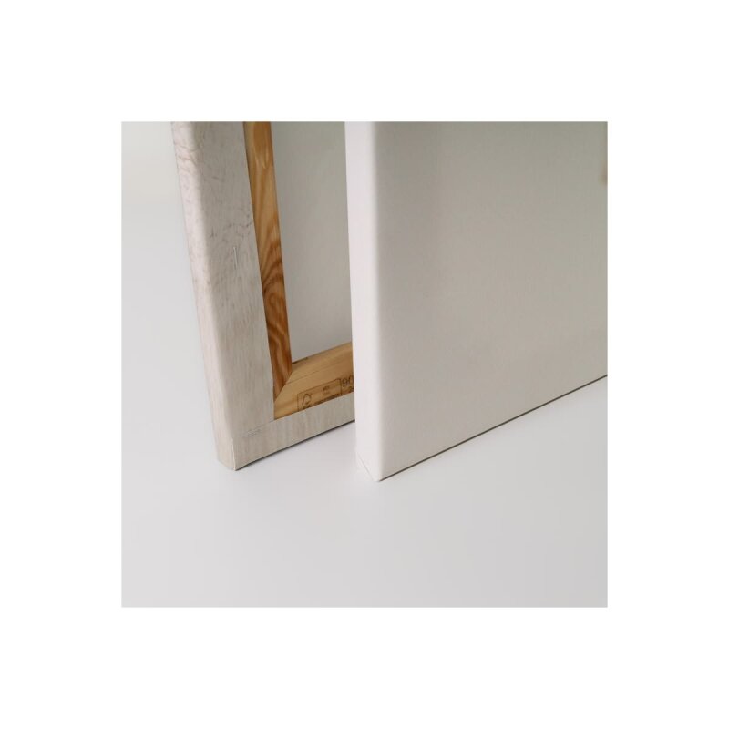 A.S. Création Leinwandbild Mountain Goat