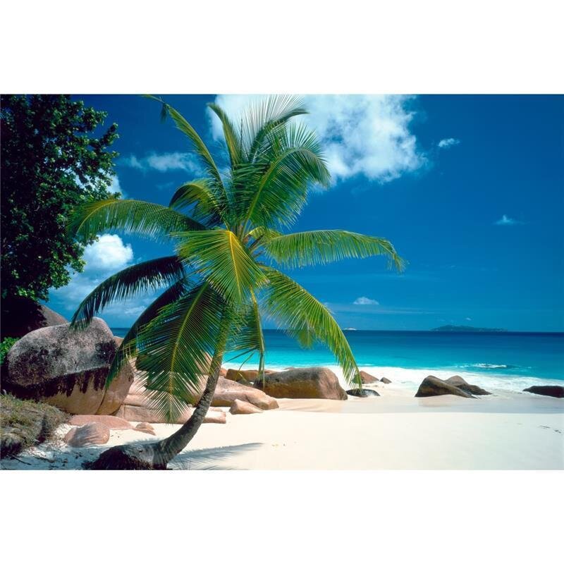 A.S. Création Leinwandbild Palmenstrand