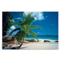 A.S. Cr&eacute;ation Leinwandbild Palmenstrand