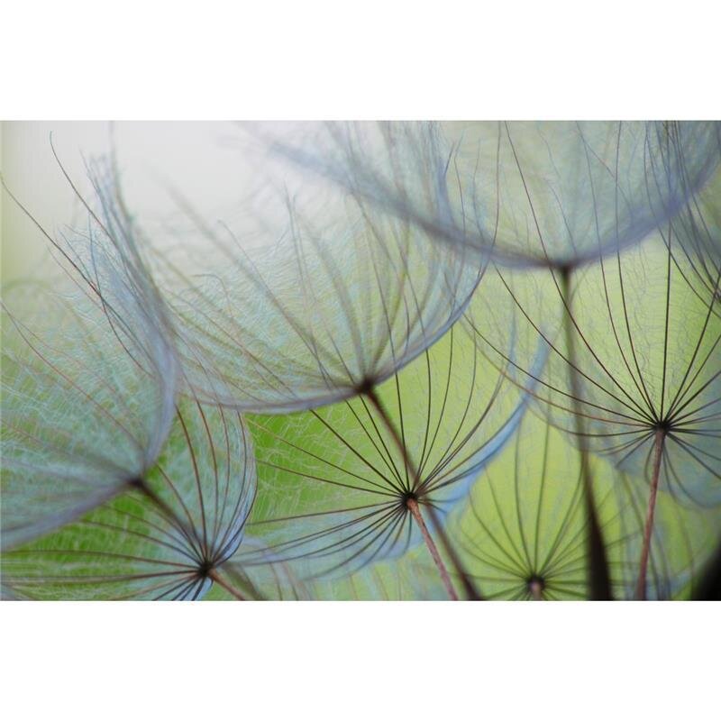 A.S. Création Leinwandbild Pusteblumen