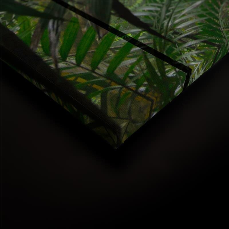 A.S. Création Leinwandbild rainforest1