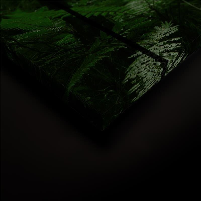 A.S. Création Leinwandbild rainforest2
