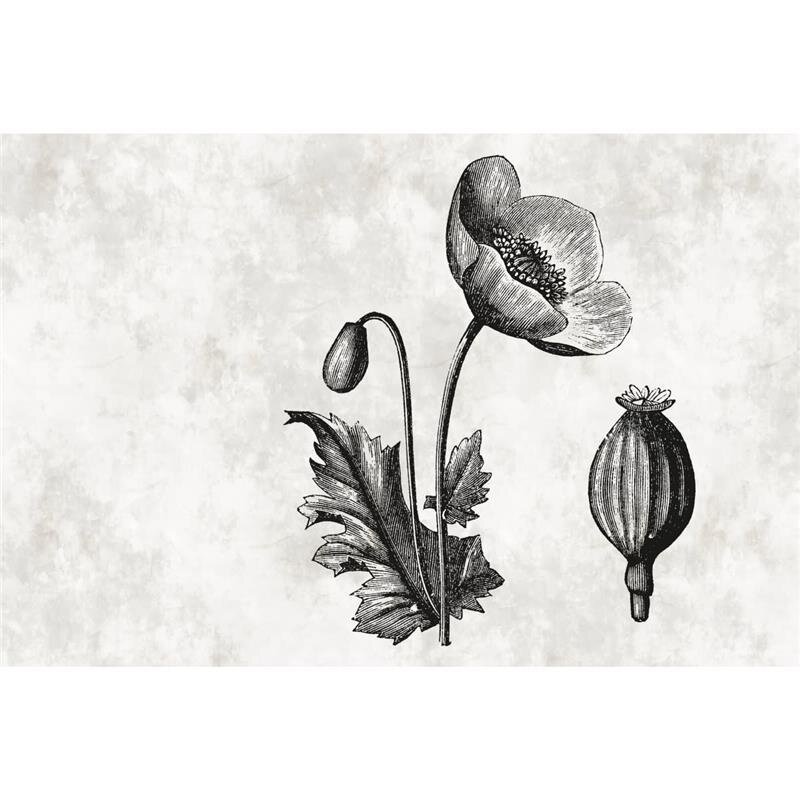 A.S. Création Leinwandbild sketchpad6