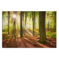 A.S. Création Leinwandbild SonneimWald