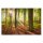 A.S. Création Leinwandbild SonneimWald