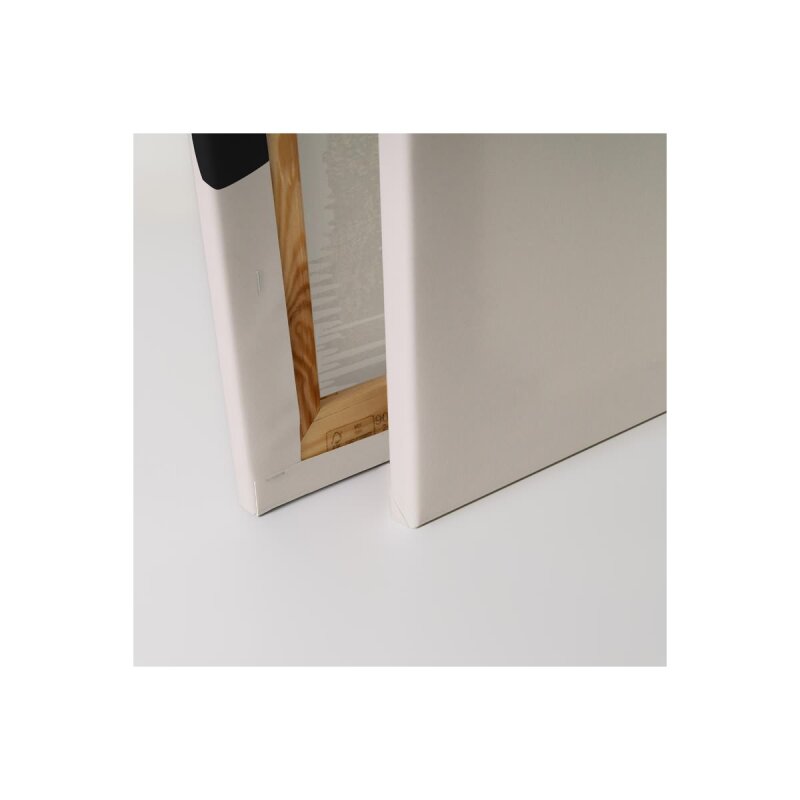 A.S. Création Leinwandbild The Swan 1