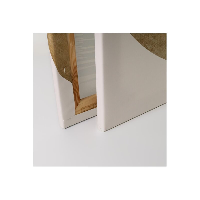 A.S. Création Leinwandbild The Swan 2