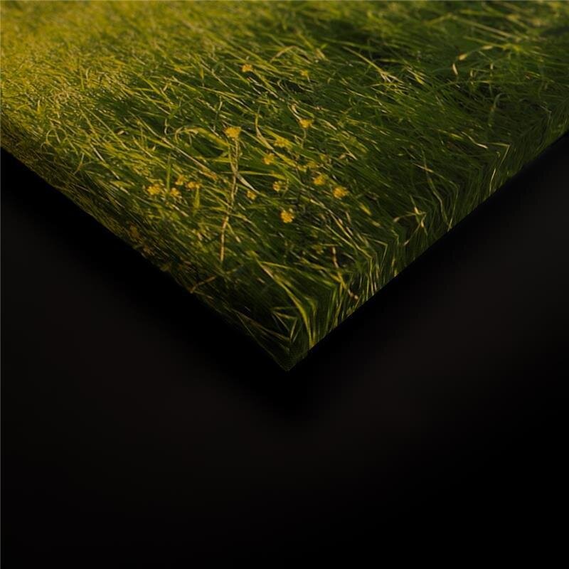 A.S. Création Leinwandbild ToskanaNatur