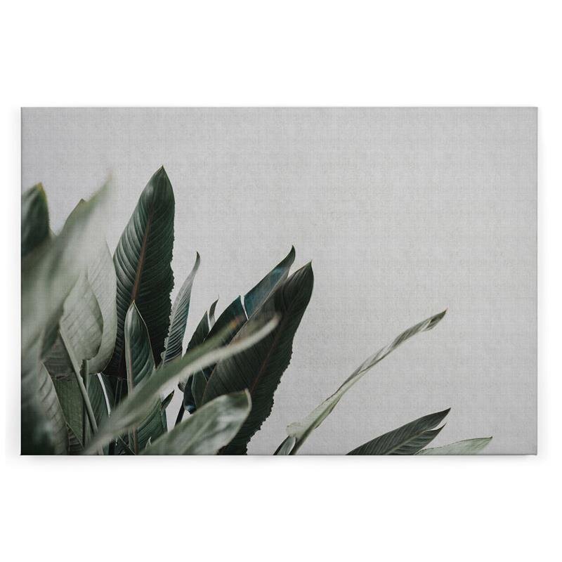 A.S. Création Leinwandbild urbanjungle1