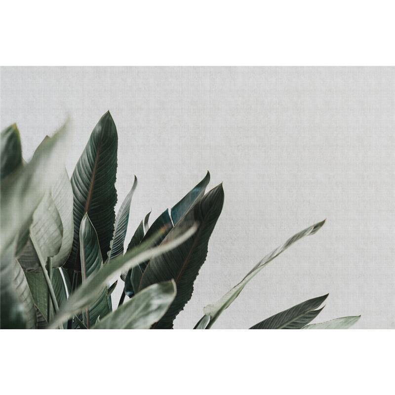 A.S. Création Leinwandbild urbanjungle1