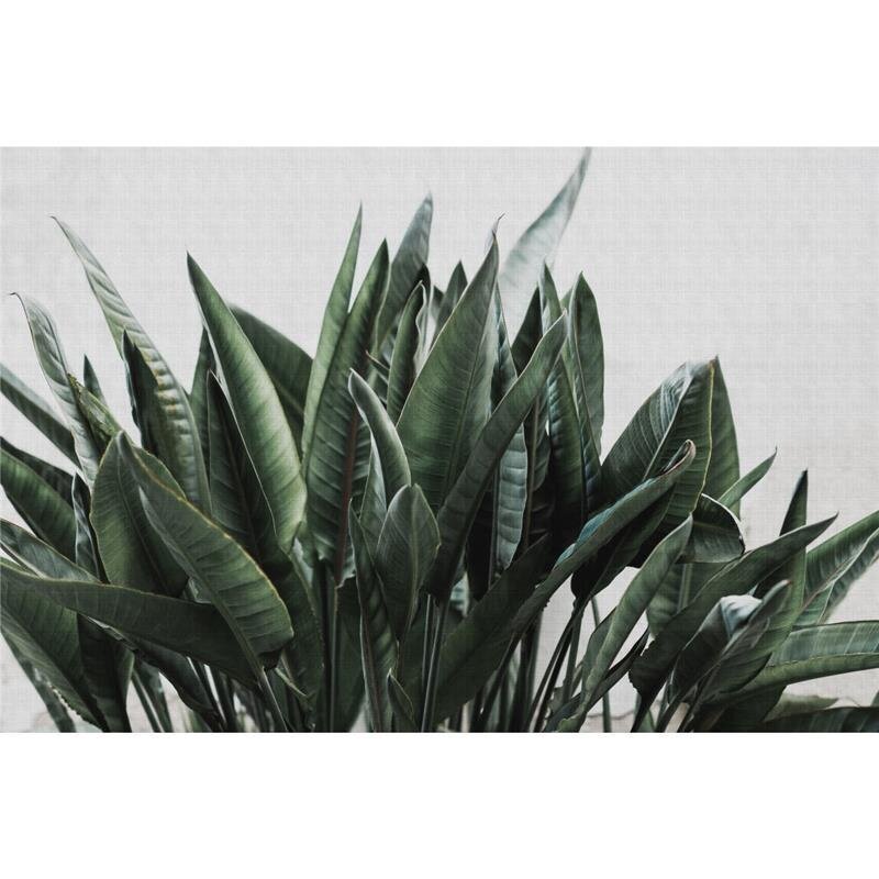 A.S. Création Leinwandbild urbanjungle2