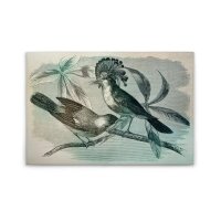 A.S. Création Leinwandbild vintagebirds1