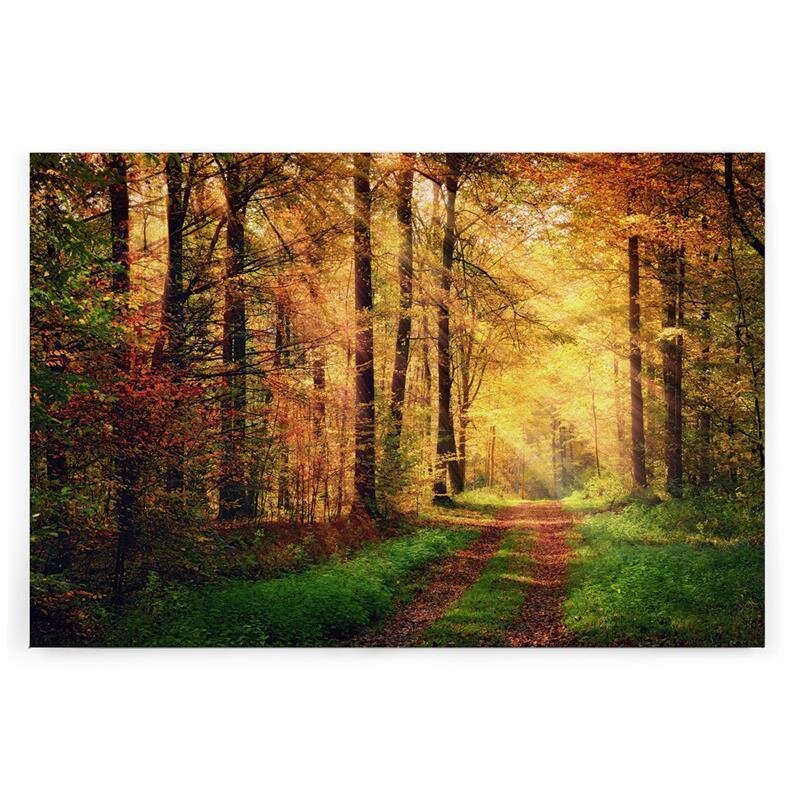 A.S. Création Leinwandbild WaldwegHerbst