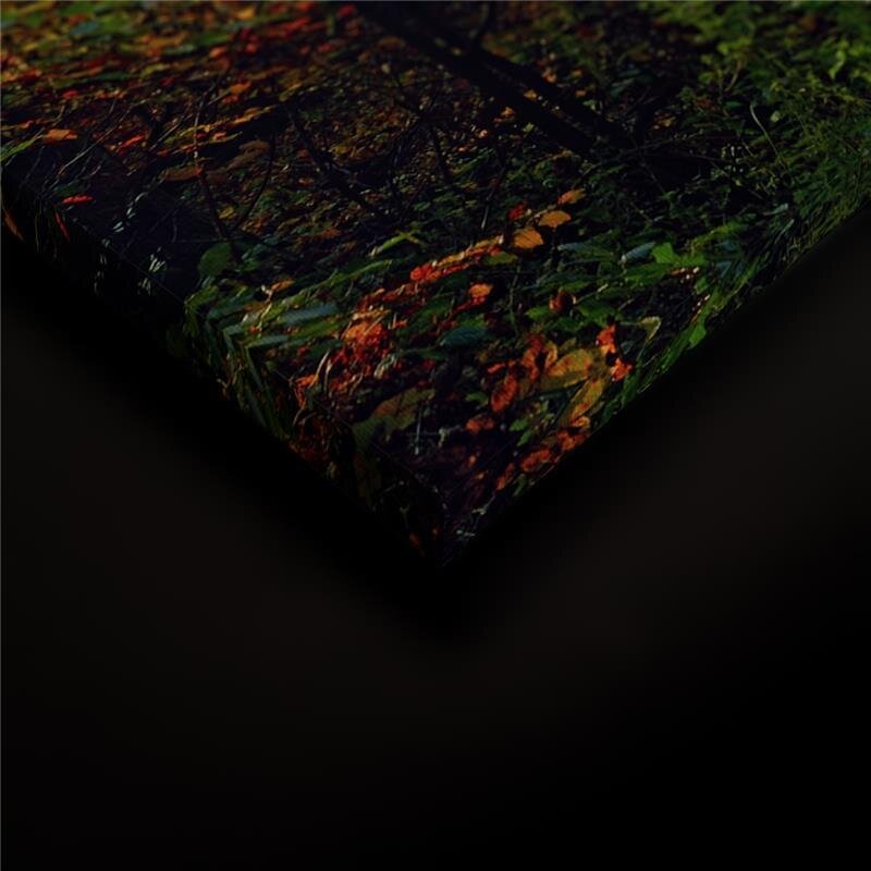 A.S. Création Leinwandbild WaldwegHerbst