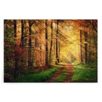 A.S. Cr&eacute;ation Leinwandbild WaldwegHerbst