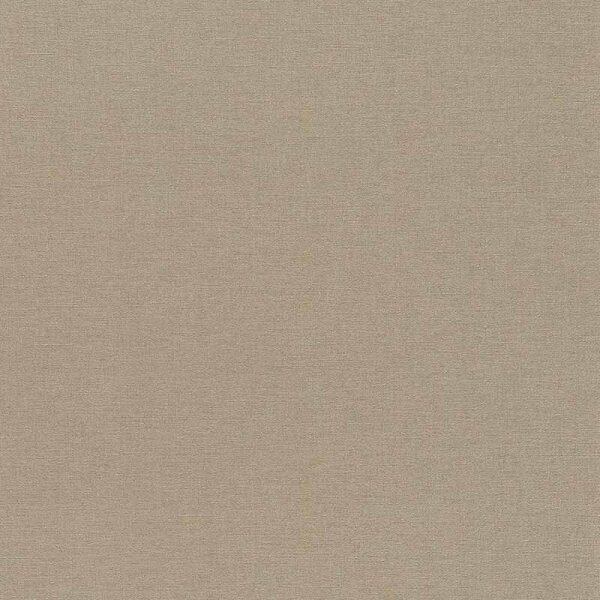 Tapete Braun Rasch Vliestapete (449815)